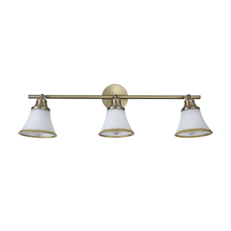 Споты — Спот Freya FR2272-CW-03-BS купить в 