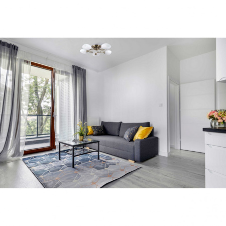 Люстры накладные — Накладная люстра MW-Light 267011805 купить в  Люстры накладные — Накладная люстра MW-Light 267011805 купить в