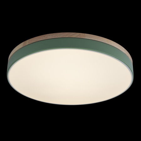 Детские светильники — Детский светильник LOFT IT 10001/36 Green купить в 