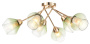 Потолочные люстры — Потолочная люстра Escada 674/6PL купить в 