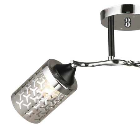 Потолочные люстры — Потолочная люстра Seven Fires Faedis 66445.01.13.02 купить в  Потолочные люстры — Потолочная люстра Seven Fires Faedis 66445.01.13.02 купить в