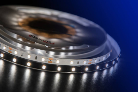 Светодиодные ленты — Лента DesignLed DSG260-12-NW-33 купить в  Светодиодные ленты — Лента DesignLed DSG260-12-NW-33 купить в
