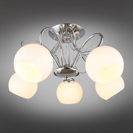 Люстры накладные — Накладная люстра Omnilux OML-24707-05 купить в 