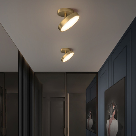 Накладные светильники — Накладной светильник ImperiumLoft 231016-23 купить в 