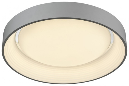 Накладные светильники — Накладной светильник WERTMARK WE413.02.027 купить в 