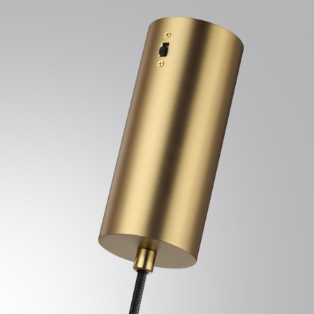 Подвесные светильники — Подвесной светильник Odeon Light 6674/20L купить в 