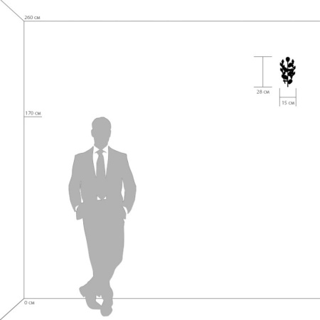 Настенные бра — Бра Lightstar 791612 купить в 