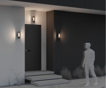 Уличные настенные светильники — Светильник настенный Maytoni O451WL-01GF купить в 