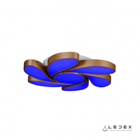 Потолочные светильники — Потолочная люстра iLedex Flower 72W GL купить в  Потолочные светильники — Потолочная люстра iLedex Flower 72W GL купить в