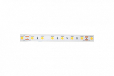 Светодиодные ленты — Лента DesignLed DSG560-24-NW-65 купить в 