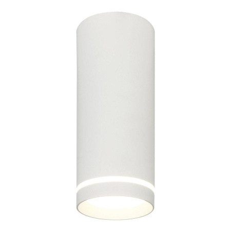 Потолочные светильники — Потолочный светодиодный светильник Escada 20009SMU/02LED SWH купить в  Потолочные светильники — Потолочный светодиодный светильник Escada 20009SMU/02LED SWH купить в