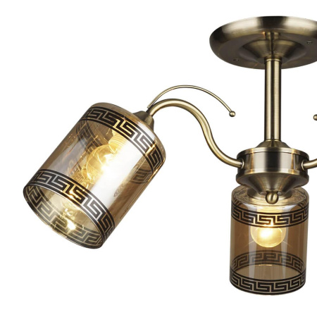 Потолочные люстры — Потолочная люстра Seven Fires Сантади 66229.01.05.03 купить в 