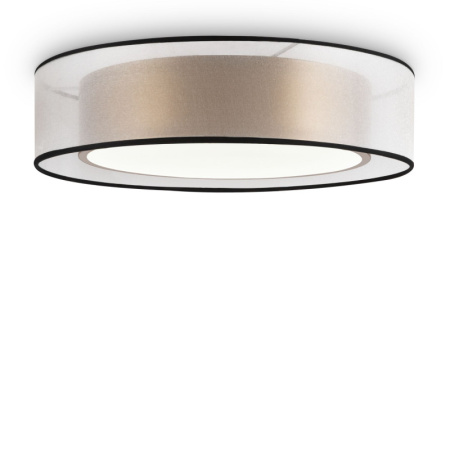 Накладные светильники — Накладной светильник Freya FR6005CL-L36G купить в 