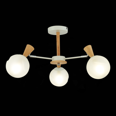 Люстры на штанге — Люстра на штанге Evoluce SLE220702-03 купить в 