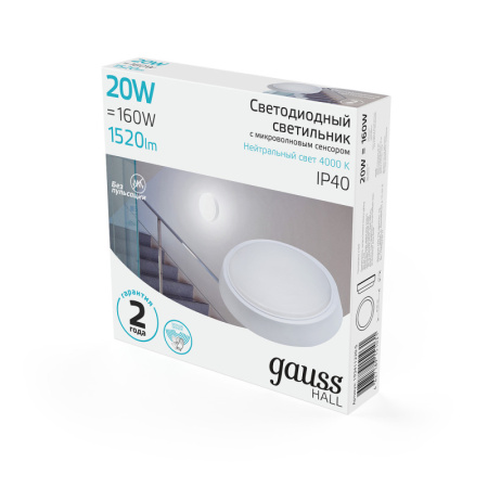 Офисные светильники — Офисный светильник Gauss 193411220-S купить в  Офисные светильники — Офисный светильник Gauss 193411220-S купить в