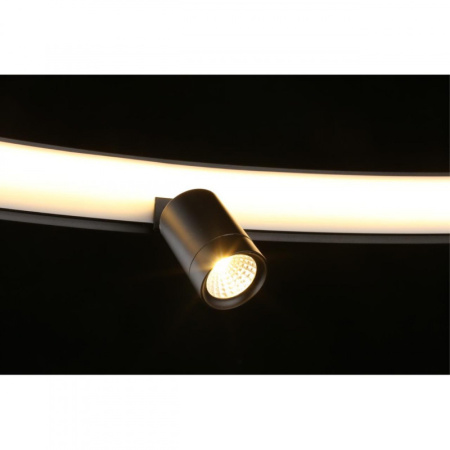 Люстры подвесные — Подвесная люстра APLOYT APL.041.13.75 купить в 