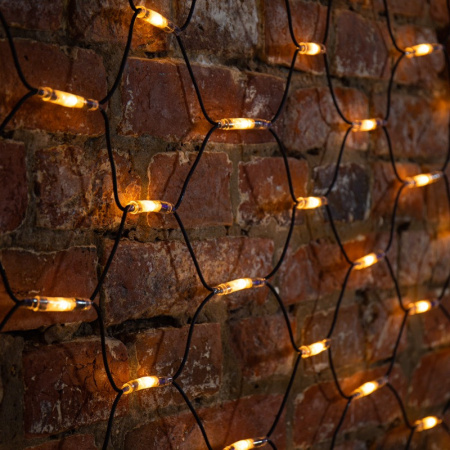 Светодиодные сети — Светодиодная сеть Neon-Night 217-126 купить в  Светодиодные сети — Светодиодная сеть Neon-Night 217-126 купить в