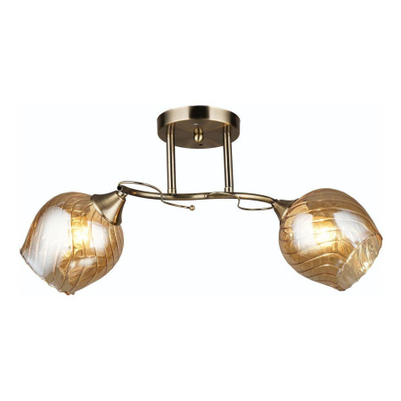 Потолочные люстры — Потолочная люстра Milosh Tendence 0739CL-2GD купить в  Потолочные люстры — Потолочная люстра Milosh Tendence 0739CL-2GD купить в