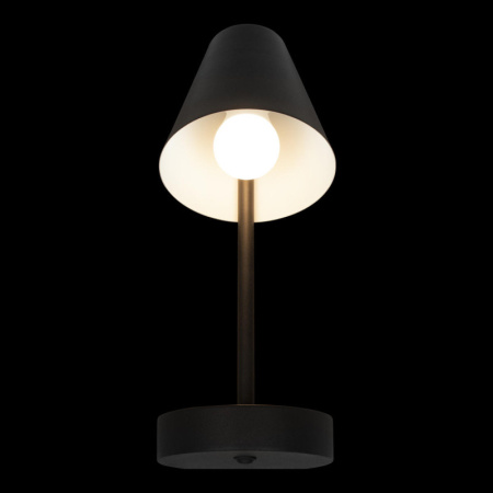 Настенные бра — Бра LOFT IT 10216/1W Black купить в  Настенные бра — Бра LOFT IT 10216/1W Black купить в