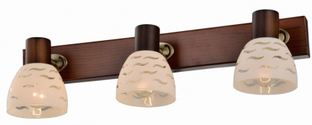 Споты — Спот TOPLIGHT TL3730Y-03BB купить в  Споты — Спот TOPLIGHT TL3730Y-03BB купить в