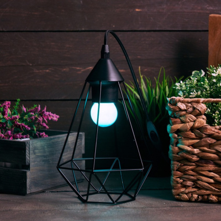 Лампы декоративные — Лампа декоративная Neon-Night 401-113 купить в 