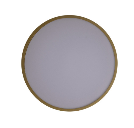 Накладные светильники — Накладной светильник Zortes ZRS.90610.30 купить в  Накладные светильники — Накладной светильник Zortes ZRS.90610.30 купить в