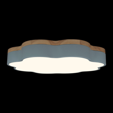 Накладные светильники — Накладной светильник LOFT IT 10225/36 Blue купить в 