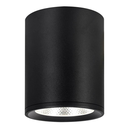 Потолочные светильники — Потолочный светодиодный светильник Escada 20003SMU/02LED SBK купить в 