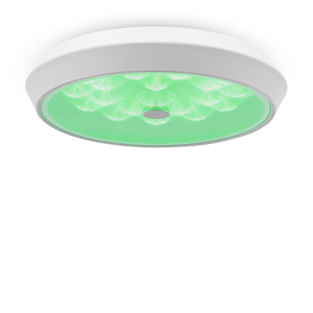 Накладные светильники — Накладной светильник Freya FR10012CL-L24W купить в 