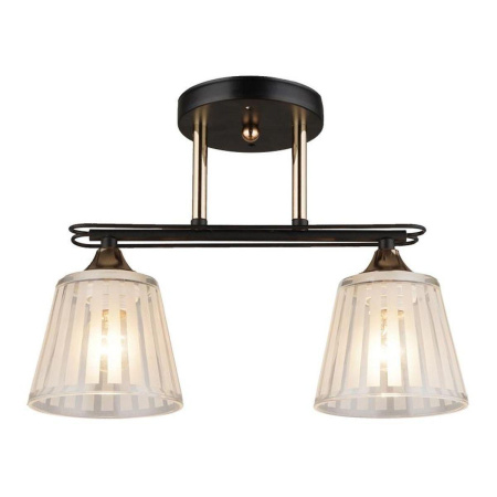 Потолочные люстры — Потолочная люстра Milosh Tendence 0659CL-2BK купить в  Потолочные люстры — Потолочная люстра Milosh Tendence 0659CL-2BK купить в