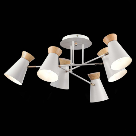 Люстры на штанге — Люстра на штанге Evoluce SLE1252-502-06 купить в  Люстры на штанге — Люстра на штанге Evoluce SLE1252-502-06 купить в