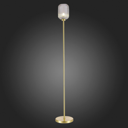 Торшеры и напольные светильники — Торшер ST-Luce SL1154.325.01 купить в 