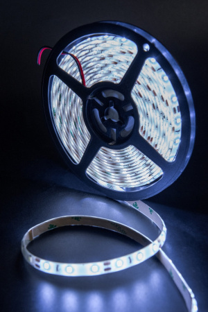 Светодиодные ленты — Лента SWG SWG260-12-4.8-W-65 купить в 