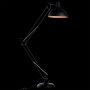 Торшеры и напольные светильники — Торшер ARTE Lamp A2487PN-1BK купить в  Торшеры и напольные светильники — Торшер ARTE Lamp A2487PN-1BK купить в