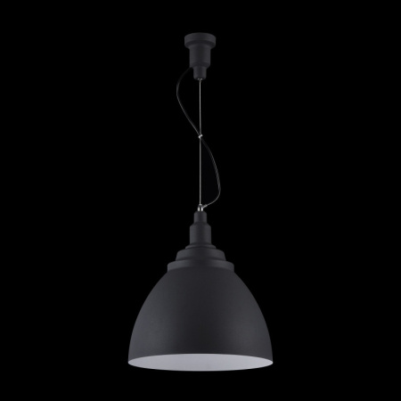 Подвесные светильники — Подвесной светильник Maytoni P535PL-01B купить в 