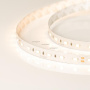 Светодиодные ленты — Лента Arlight 018098 купить в  Светодиодные ленты — Лента Arlight 018098 купить в