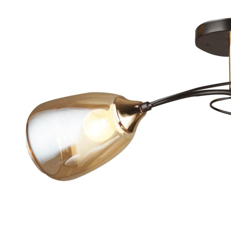 Потолочные люстры — Потолочная люстра Seven Fires Сабато 66267.01.69.02 купить в  Потолочные люстры — Потолочная люстра Seven Fires Сабато 66267.01.69.02 купить в