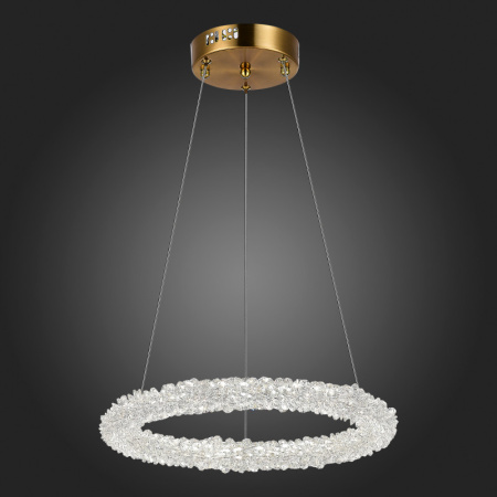 Люстры подвесные — Подвесная люстра ST-Luce SL6110.203.01 купить в  Люстры подвесные — Подвесная люстра ST-Luce SL6110.203.01 купить в