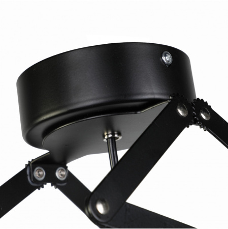 Накладные светильники — Накладной светильник Favourite 2069-1U купить в  Накладные светильники — Накладной светильник Favourite 2069-1U купить в