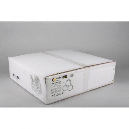 Люстры накладные — Накладная люстра Omnilux OML-00107-120 купить в 