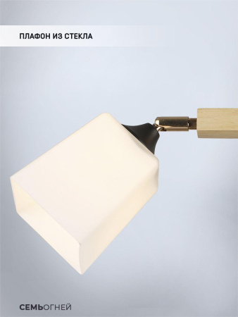 Споты — Спот Seven Fires Lion WD3508/2C-BK-WT купить в 