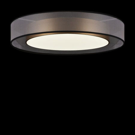 Накладные светильники — Накладной светильник Freya FR6005CL-L48G купить в 