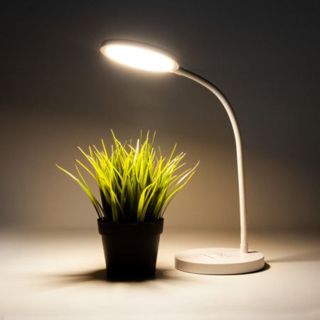 Настольные лампы — Настольная лампа Elektrostandard Tiara белый (TL90560) купить в 