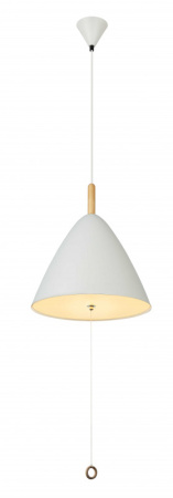 Подвесные светильники — Подвесной светильник Globo 15325W купить в 