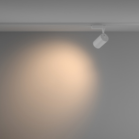 Трековые светильники — Светильник на шине Maytoni Technical TR003-1-15W3K-W-W купить в 