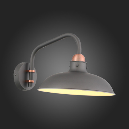 Настенные бра — Бра ST-Luce SL323.401.01 купить в  Настенные бра — Бра ST-Luce SL323.401.01 купить в