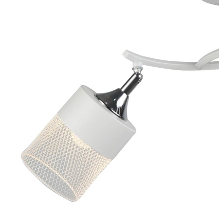 Потолочные люстры — Потолочная люстра Seven Fires Berat 66029.01.64.02 купить в 