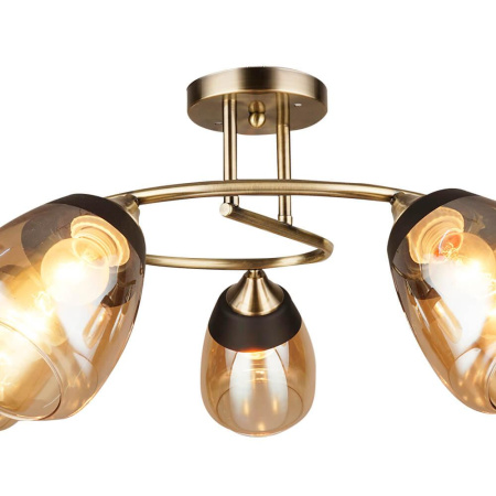 Потолочные люстры — Потолочная люстра Seven Fires Aldino 66425.01.05.05 купить в 