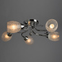 Люстры накладные — Накладная люстра ARTE Lamp A6055PL-5CC купить в  Люстры накладные — Накладная люстра ARTE Lamp A6055PL-5CC купить в