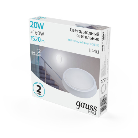 Офисные светильники — Офисный светильник Gauss 193411220 купить в  Офисные светильники — Офисный светильник Gauss 193411220 купить в